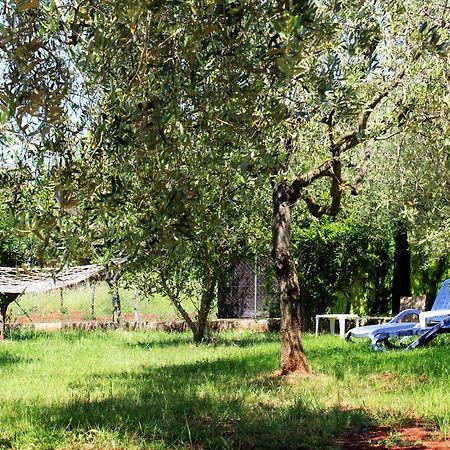 Oliven Garden Villa Ровин Екстериор снимка