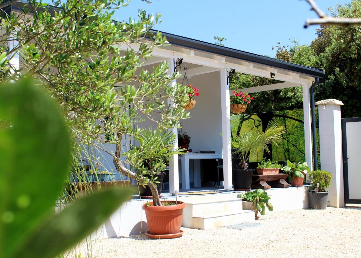 Oliven Garden Villa Ровин Екстериор снимка