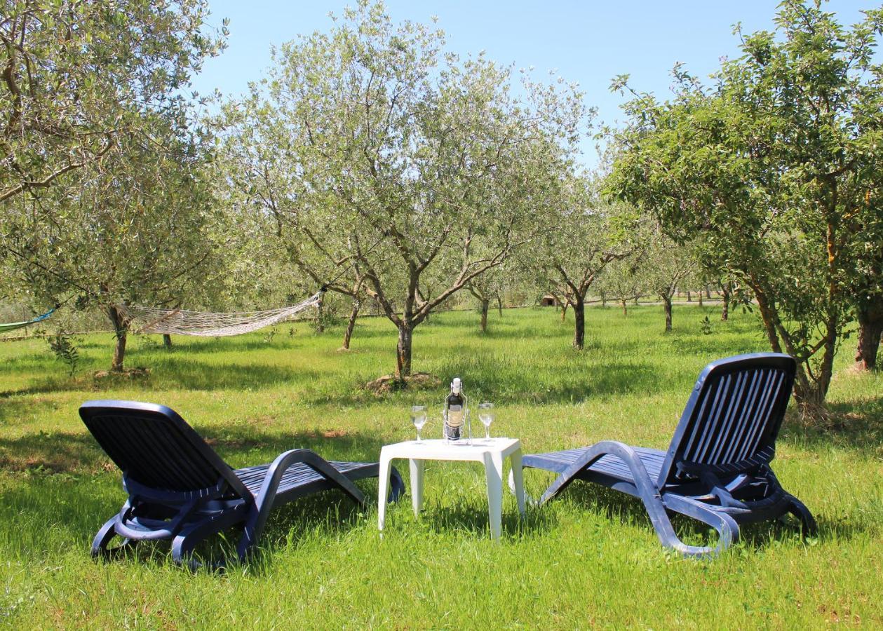 Oliven Garden Villa Ровин Екстериор снимка