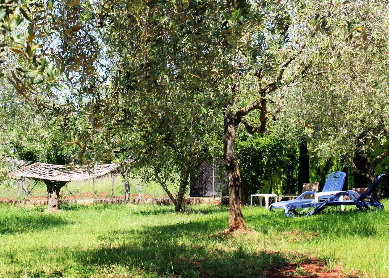 Oliven Garden Villa Ровин Екстериор снимка